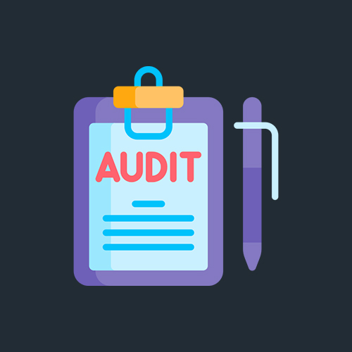 AUDIT image