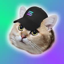 CatSolHat